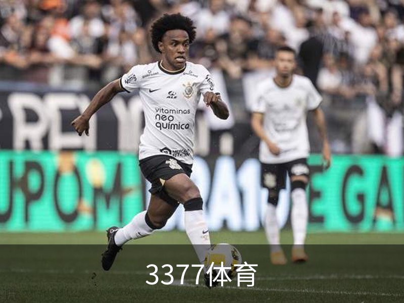 了解3377体育